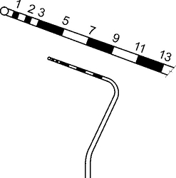 Sonda parodontolog. 1; 2; 3; 5; 7; 9; 11; 13 mm; 15,2 cm